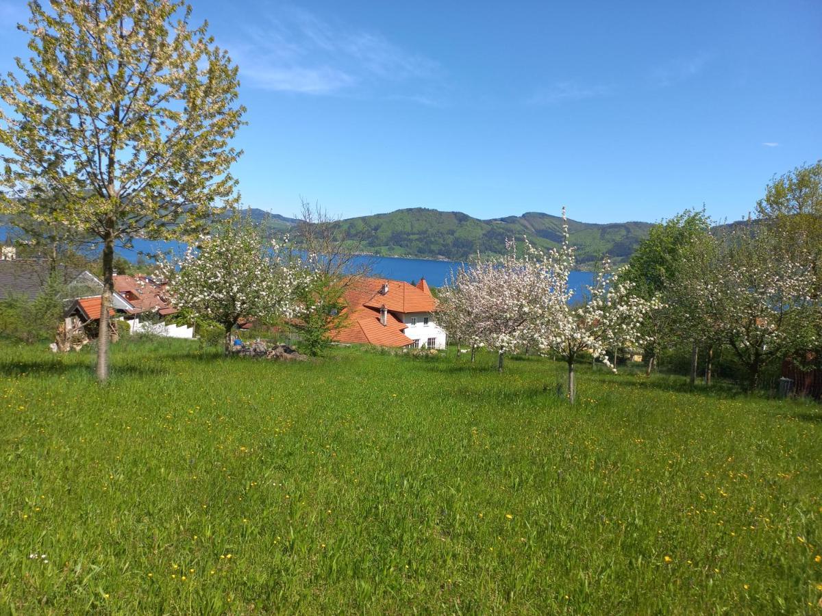 Attersee Gartenvilla Nussdorf am Attersee Εξωτερικό φωτογραφία